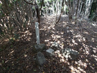 f0308898_14431555.jpg