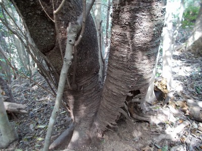 f0308898_14463300.jpg