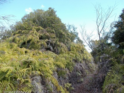 f0308898_14543418.jpg