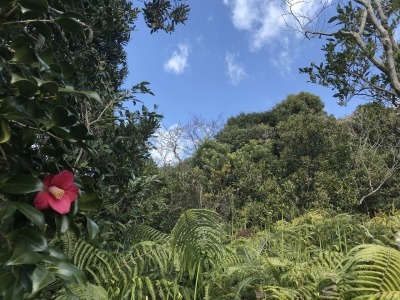 f0308898_14545278.jpg