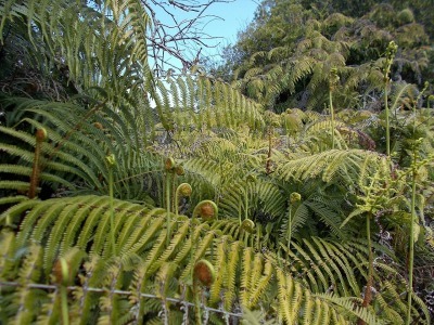 f0308898_14550541.jpg