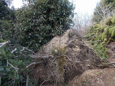 f0308898_14554608.jpg