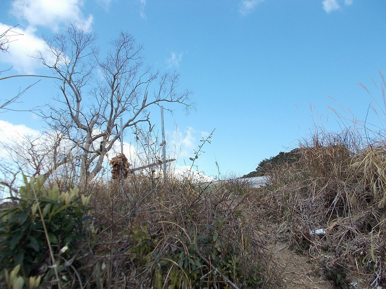 f0308898_14555398.jpg