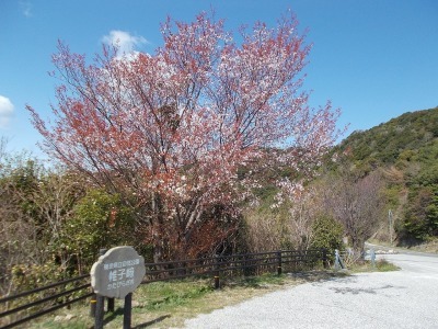 f0308898_14564480.jpg
