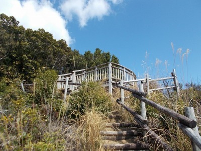 f0308898_14573760.jpg