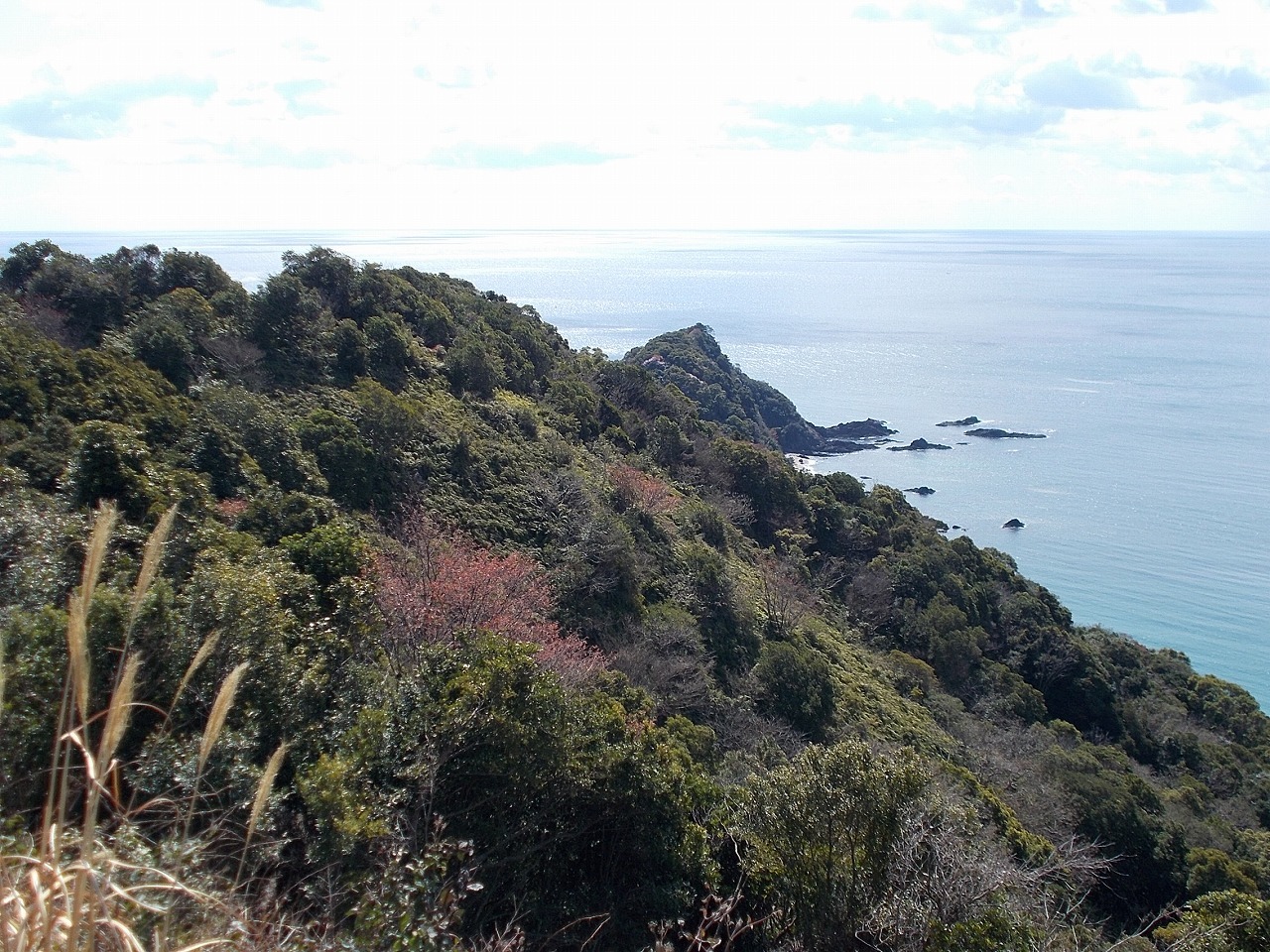 f0308898_19504056.jpg