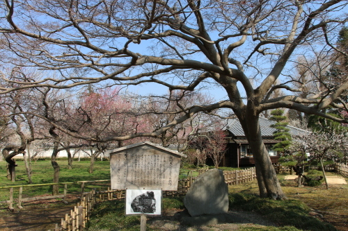 日本最大の藩校・弘道館の梅を愛でる・１_c0075701_15395185.jpg