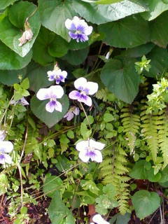 c0074721_14070205.jpg