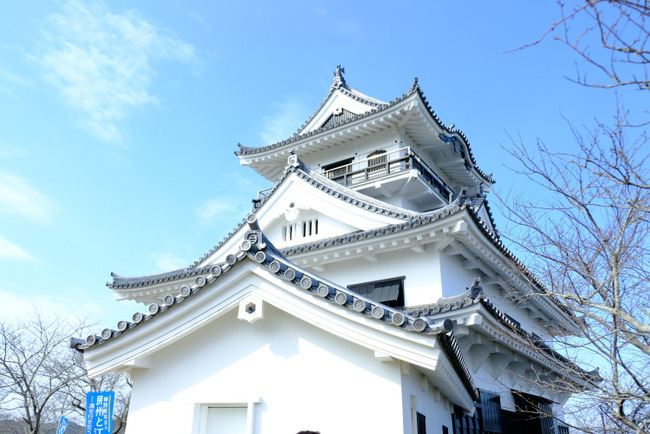 「千葉の花旅2日目 館山城、館山ファミリーパーク、花いっぱいの館山巡り」_a0000029_15283473.jpg