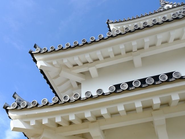 「千葉の花旅2日目 館山城、館山ファミリーパーク、花いっぱいの館山巡り」_a0000029_15285434.jpg