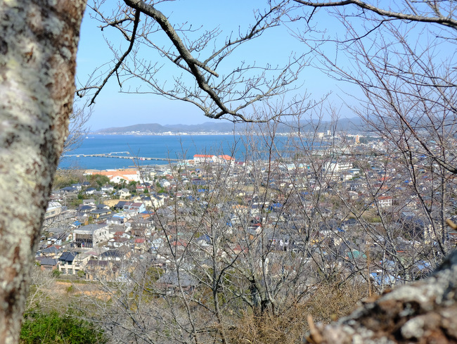 「千葉の花旅2日目 館山城、館山ファミリーパーク、花いっぱいの館山巡り」_a0000029_15292323.jpg