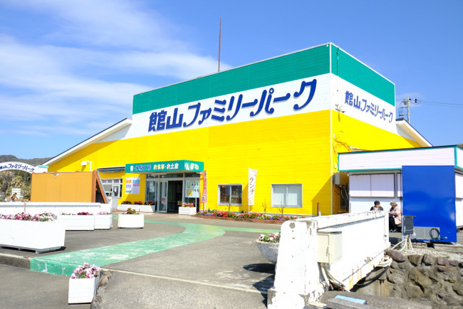 「千葉の花旅2日目 館山城、館山ファミリーパーク、花いっぱいの館山巡り」_a0000029_15312500.jpg