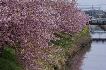 c0353632_06561350.jpg