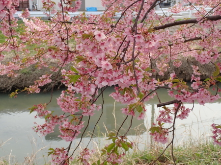 c0353632_06565128.jpg