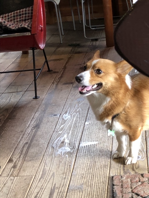 b0369239_12023502.jpeg