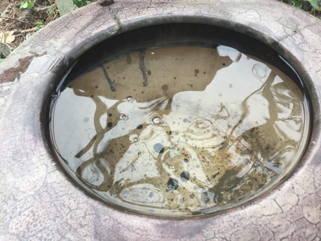 温室カフェの床がレンガ敷になった。_d0101846_07494740.jpeg