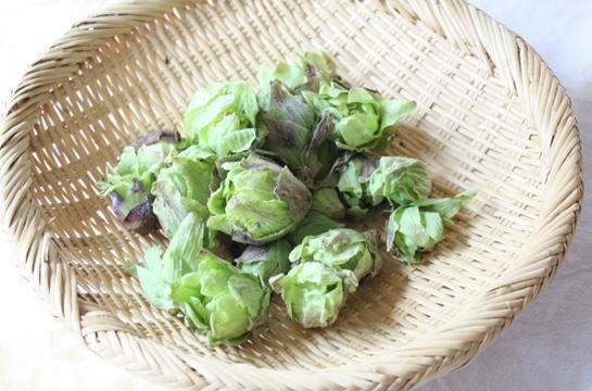 f0216148_19514020.jpg