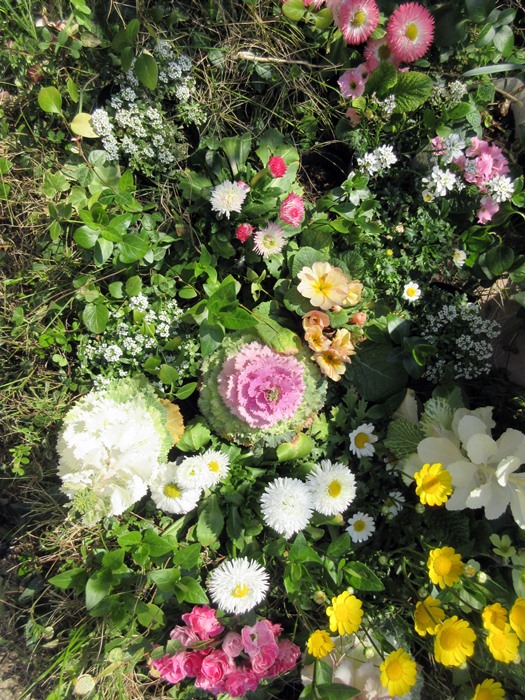 【にょきにょき伸びる】_b0009849_15533269.jpg