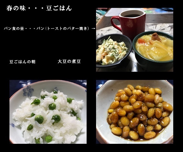 日向ミズキ　&　豆ごはん_f0224350_15164558.jpg