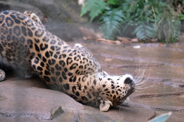 d0356852_08252879.jpg
