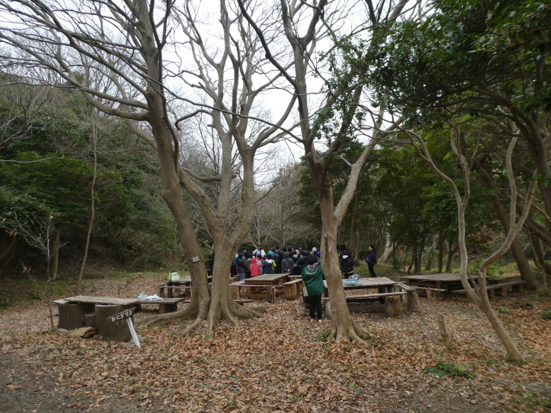 卓球台を貰った・・・うみべの森_c0108460_15494660.jpg