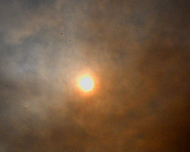 c0305565_17324276.jpg