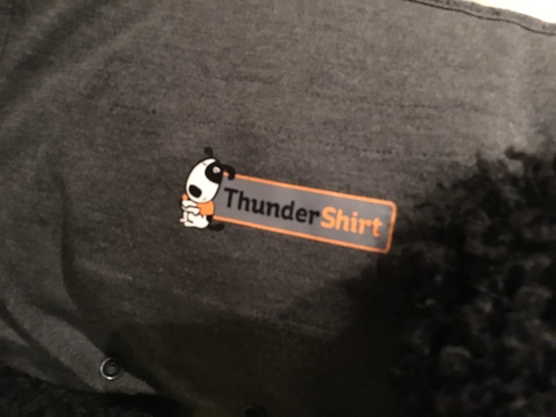 c0283778_15335539.jpeg