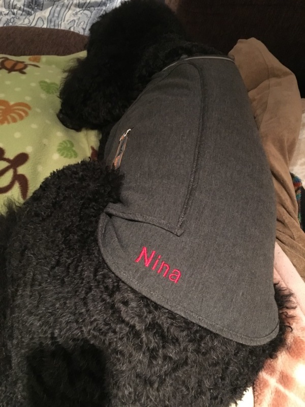 c0283778_15345904.jpeg