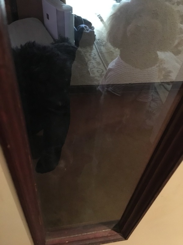c0283778_15371581.jpeg