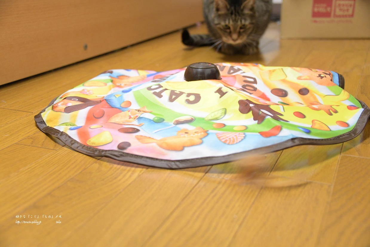 遅れたBDプレゼント_d0342382_20360521.jpg