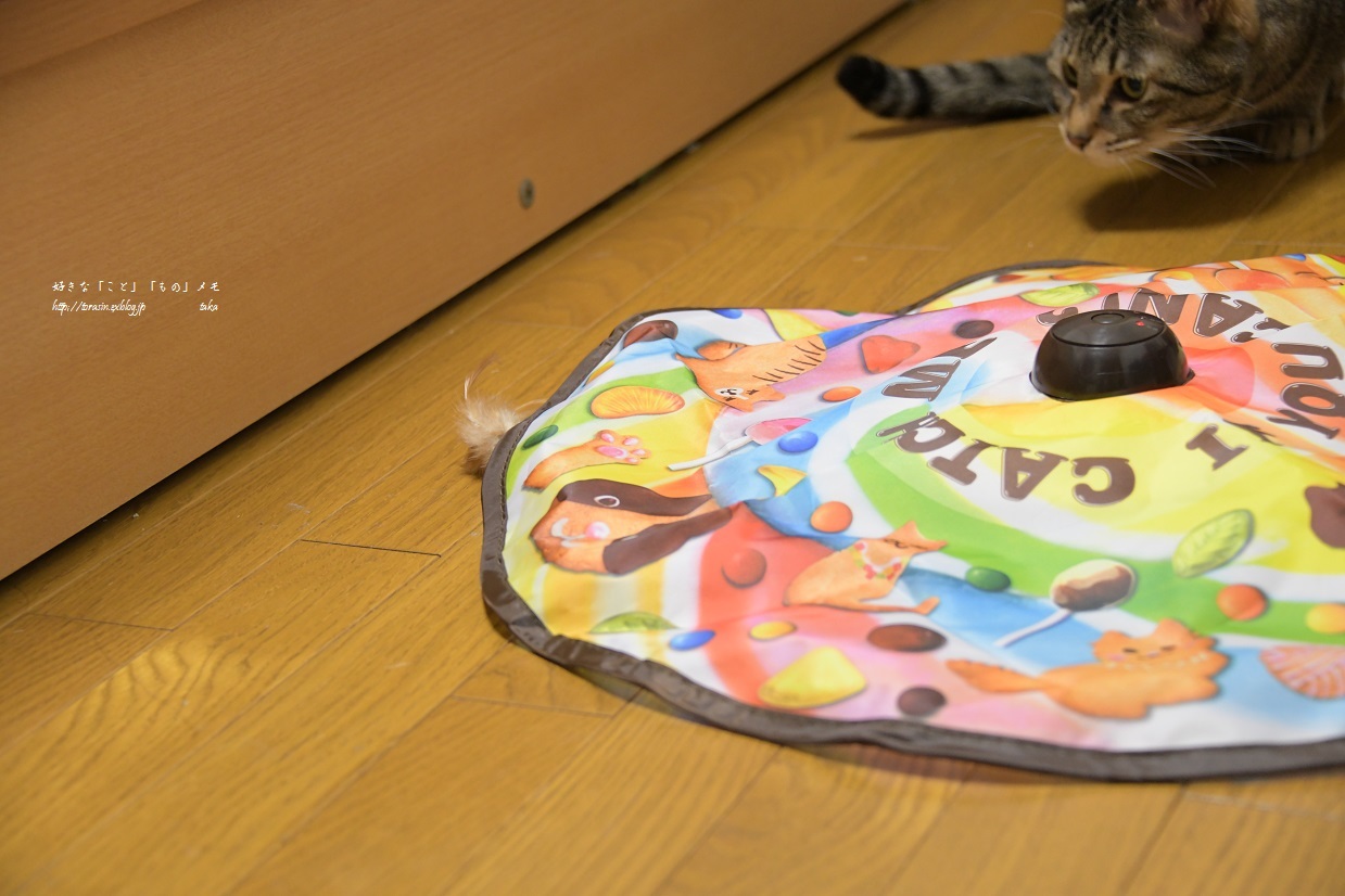 遅れたBDプレゼント_d0342382_20370263.jpg