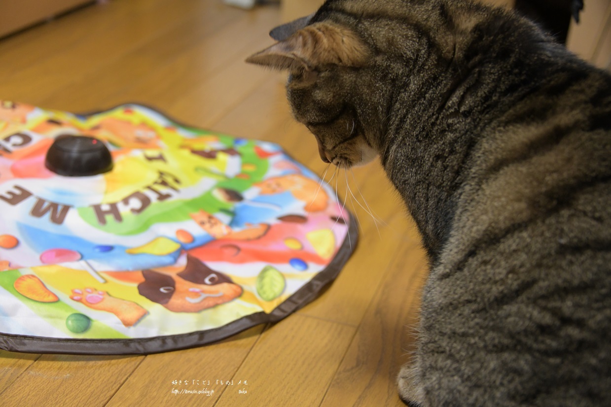遅れたBDプレゼント_d0342382_20374849.jpg