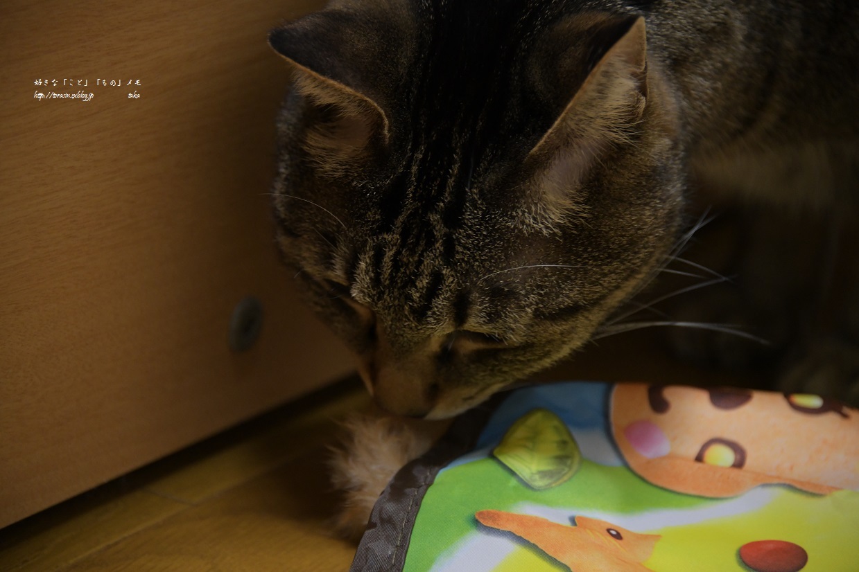 遅れたBDプレゼント_d0342382_20380238.jpg