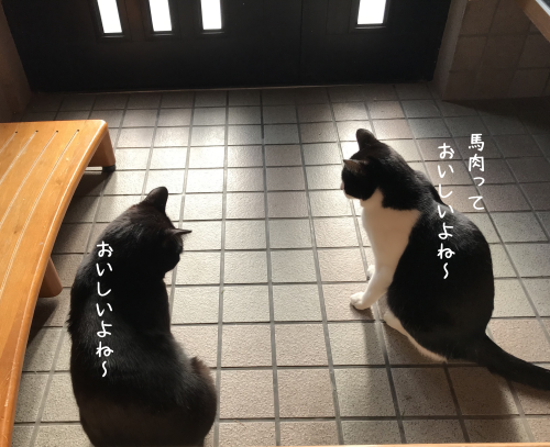 a0216583_23173117.png