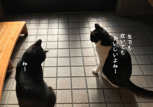 a0216583_23173852.png