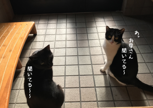 a0216583_23174370.png