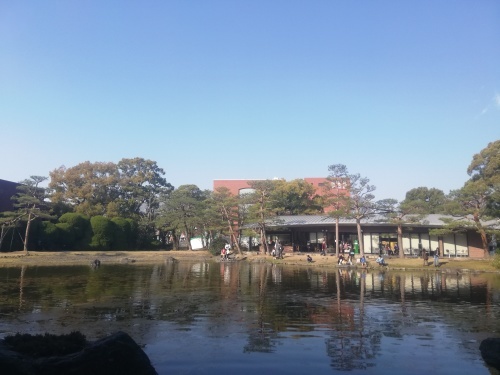 窯焚き終わって久留米へ_d0195183_02315593.jpg