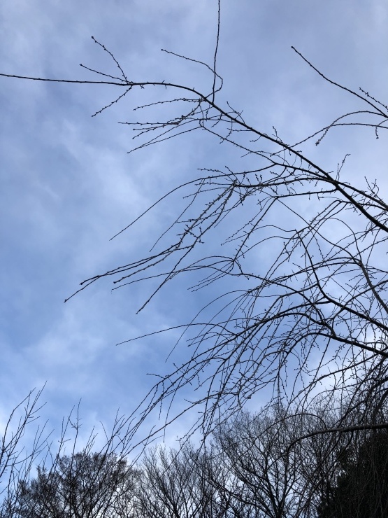 b0098584_17034495.jpeg