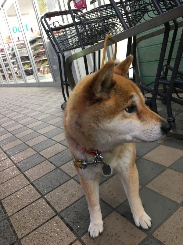 b0275998_14023869.jpeg