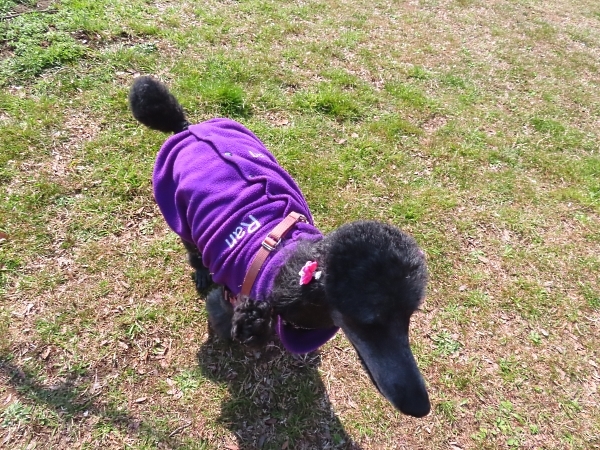 春の午後_f0033598_18153946.jpg