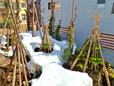 c0336902_19590833.jpg