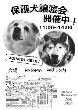 3/16 イオン譲渡会報告_f0242002_10135592.jpg