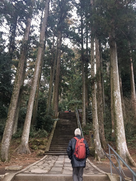 2019　小田原・箱根旅行　その3_f0043911_10540680.jpg