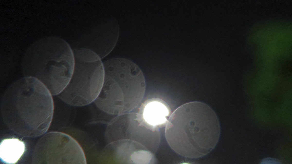 c0331825_04230977.jpg
