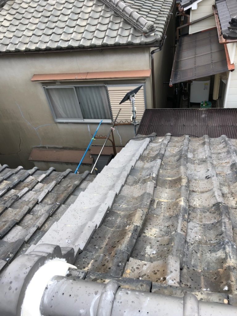 f0125927_20202946.jpeg