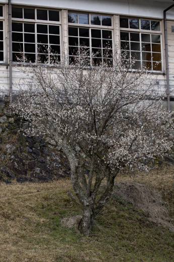 e0311229_22480185.jpg