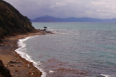 c0019338_20445347.jpg