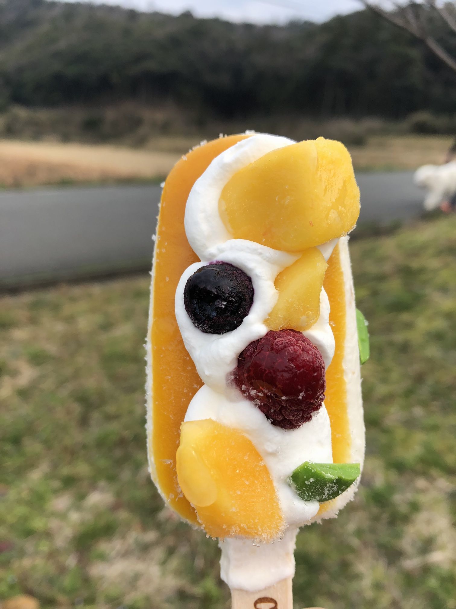 んまいもんシリーズ 2019年 かに食べ旅行編_f0128542_01070186.jpg