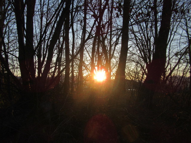e0082045_15392991.jpg
