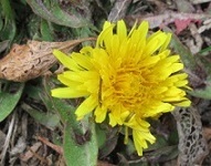 e0082045_15492024.jpg